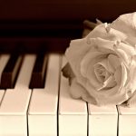 Beautiful-sentences-about-the-piano-4